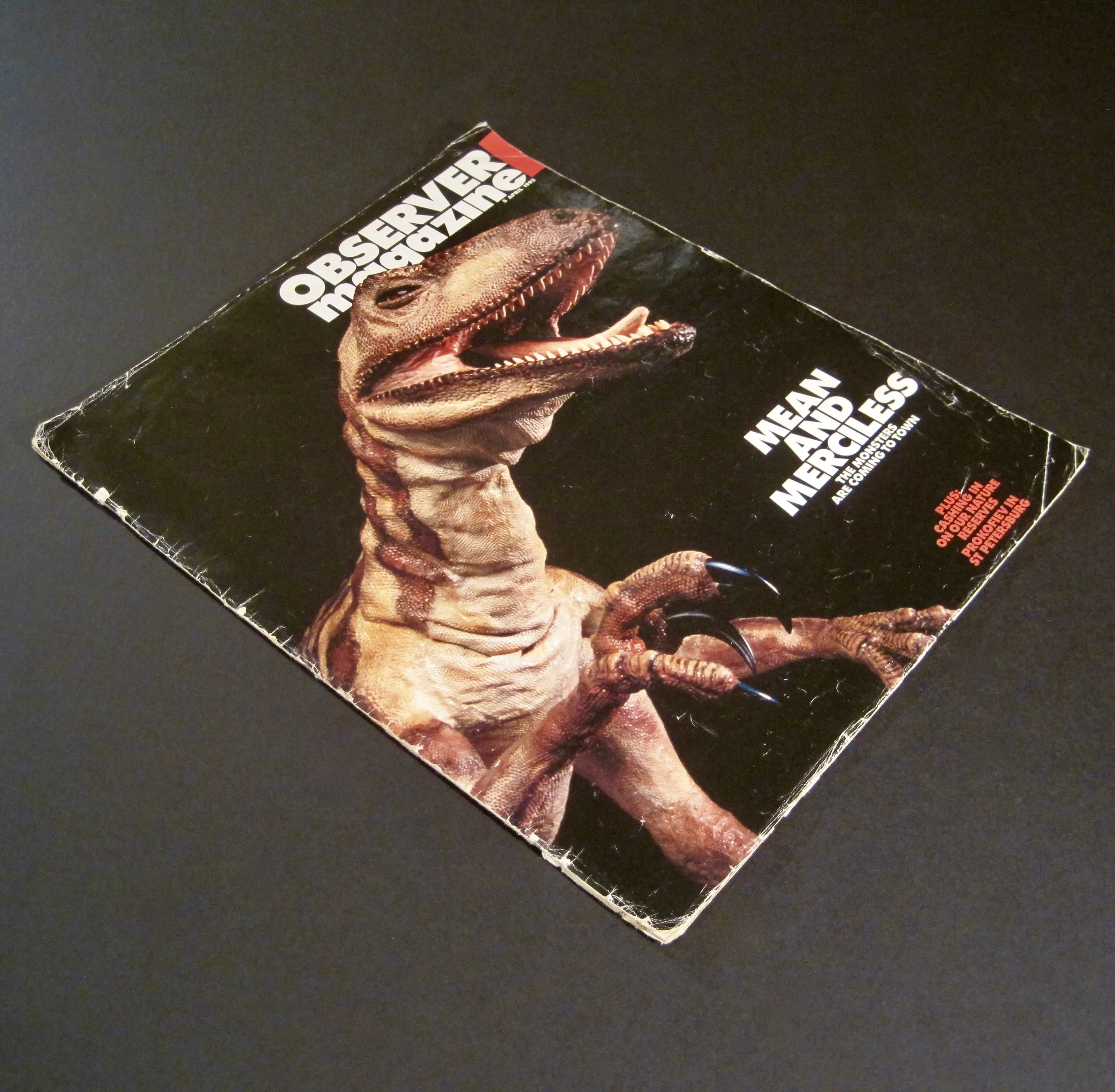 Observer Magazine - Room of my Own